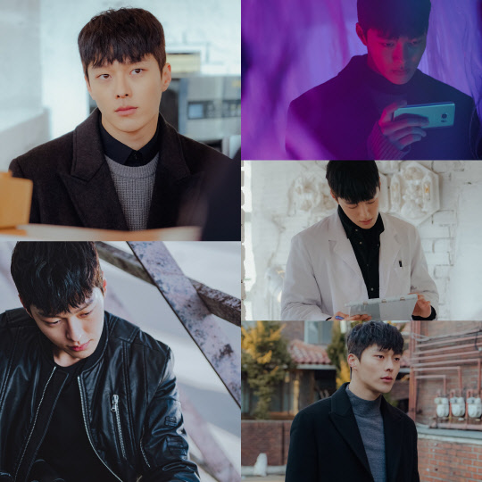 사진=OCN 제공